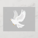 Search for peace hope postcards Bird