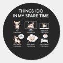 Search for chihuahua funny stickers Chihuahuas