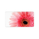 Search for gerbera labels Flower