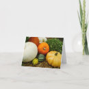 Search for gourds cards Pumpkin