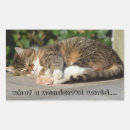 Search for funny cat picture stickers Cats