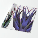 Search for plants wrapping paper Foliage