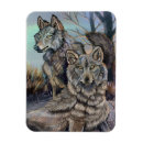Search for artic magnets Wildlife