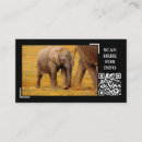 Search for wildlife photography business cards Nature