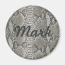 Search for skins magnets For him