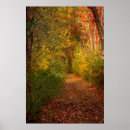 Search for trails art Colourful