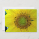 Search for seed invitations Summer
