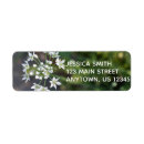 Search for lacy return address labels Delicate