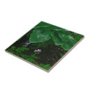 Search for raindrop tiles Photography