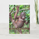 Search for animal charity cards Cute
