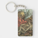 Search for kelp key rings Ocean