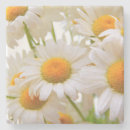 Search for daisy coasters Summer