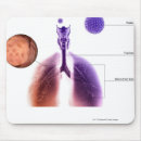 Search for human internal organ electronics View