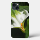 Search for calla electronics Garden