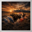 Search for stampede posters Buffalo