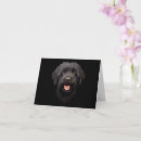 Search for labradoodle cards Black