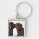 Search for labrador key rings Cute