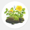 Search for yellow flowers stickers Nature