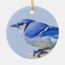 Search for blue jay christmas tree decorations Feathers