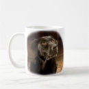 Search for dependable drinkware Trust