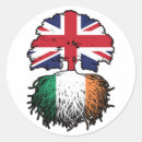 Search for made in ireland stickers Irish pride