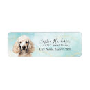 Search for dog owner return address labels Modern