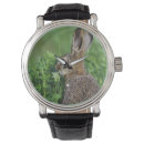 Search for rolf nussbaumer accessories Wildlife