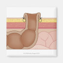 Search for medical tools posters Work