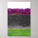 Search for kona art Tropical