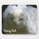 Search for snowy owl electronics Bubo scandiacus