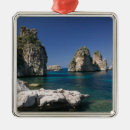 Search for europe christmas tree decorations Nature
