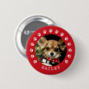 Search for dog memorial badges In loving memory