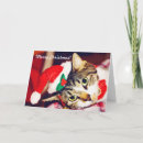 Search for cat lover christmas cards Humour