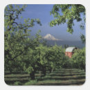 Search for mt hood stickers Landscape
