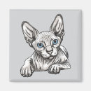 Search for unique cats magnets Feline