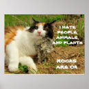 Search for funny cat pictures posters Kitty