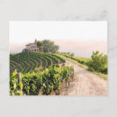 Search for landscape postcards Vineyard