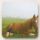 Search for two sided coasters Rural scene