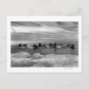 Search for bering postcards States