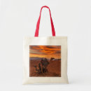 Search for steppe accessories Landscape