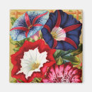 Search for morning glory magnets Nature