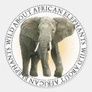 Search for african elephant stickers Wildlife