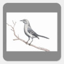 Search for mockingbird stickers Wildlife