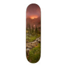 Search for exposure skateboards Colour image