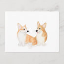 Search for cute corgi postcards Pembroke welsh corgi