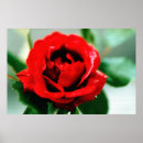 Search for 14th feb art Valentine