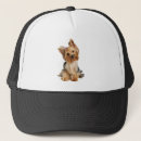 Search for yorki hats Animal