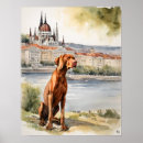 Search for vizsla art Canine