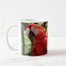 Search for parrot mugs Colourful