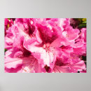 Search for blissful posters Garden